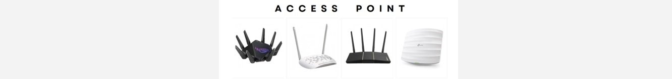 Access Point Modelleri